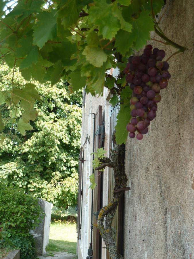 A L'Ombre Du Marronnier Gites La Peruse Екстериор снимка