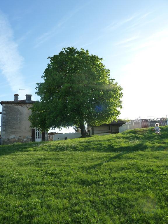 A L'Ombre Du Marronnier Gites La Peruse Екстериор снимка